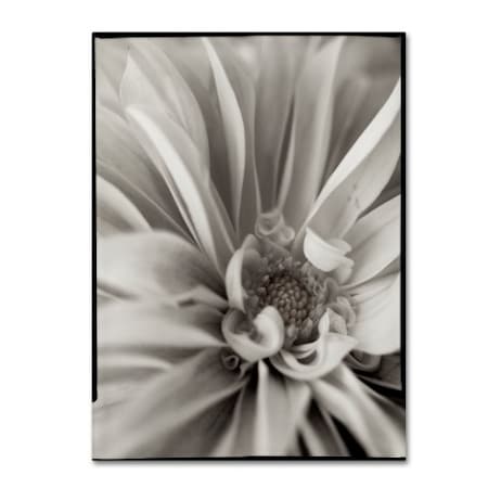 Alan Blaustein 'Florison 21' Canvas Art,14x19